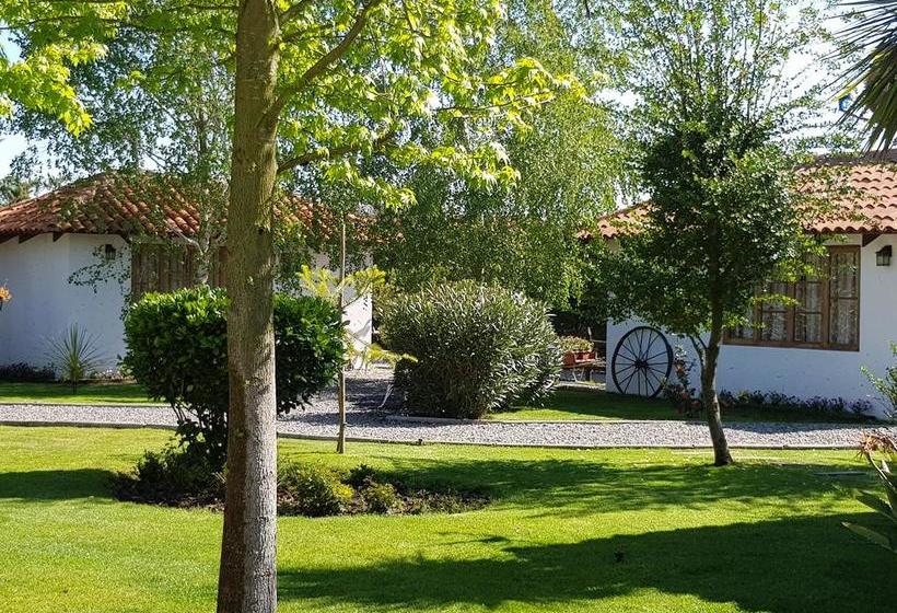 Bed and Breakfast Cabañas Tierra Y Vino