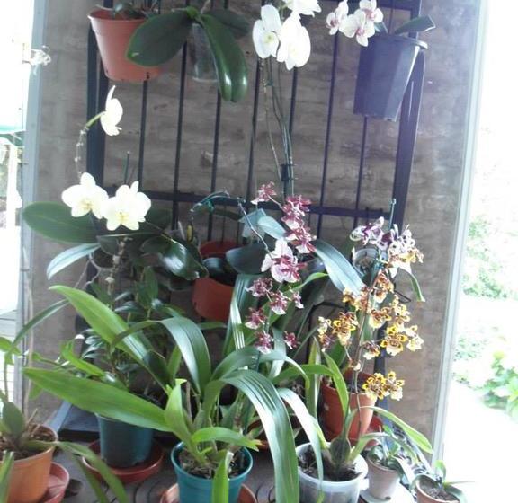 Hotel La Casa De Juan | Treinta y Tres | Treinta y Tres | Uruguay 18