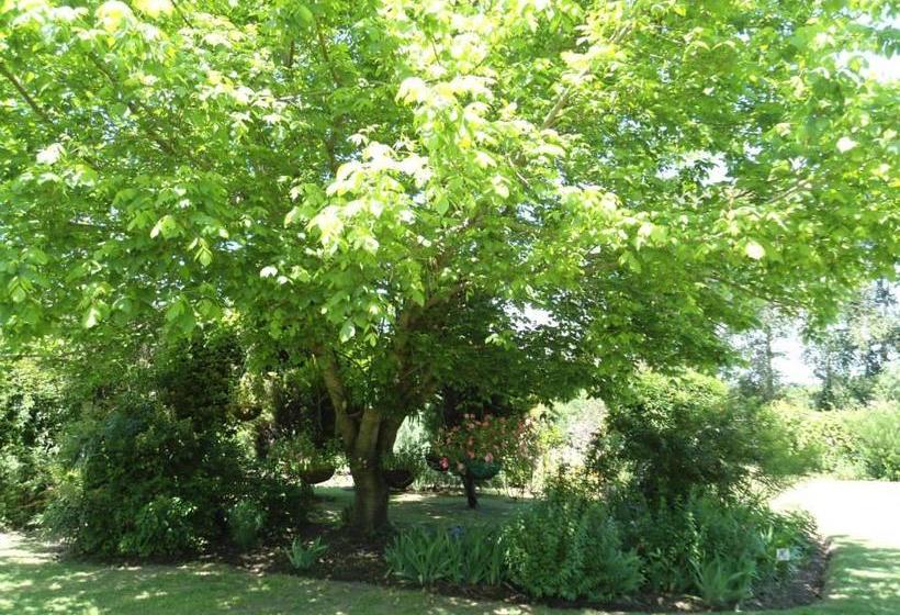 Hotel La Casa De Juan | Treinta y Tres | Treinta y Tres | Uruguay 19