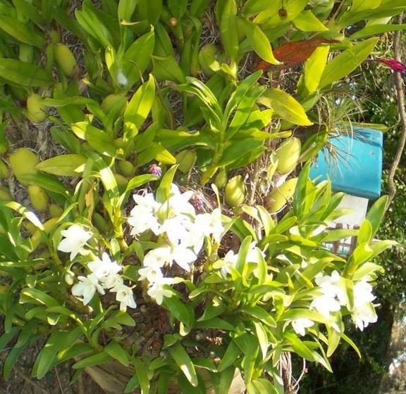 Hotel La Casa De Juan | Treinta y Tres | Treinta y Tres | Uruguay 3