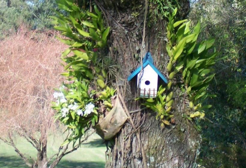 Hotel La Casa De Juan | Treinta y Tres | Treinta y Tres | Uruguay 4