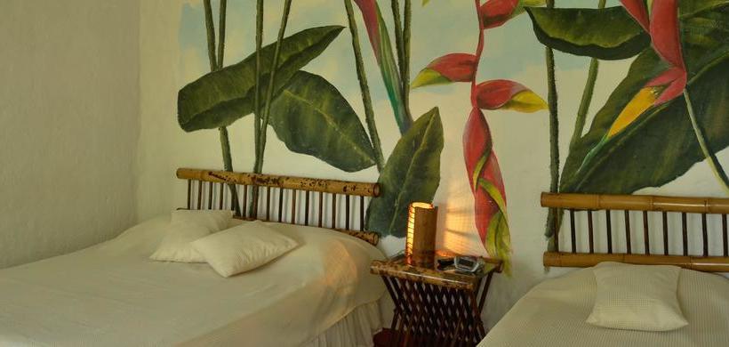 Hotel Hostal Portal Del Samán | Montenegro | Quindío | Colombia 1