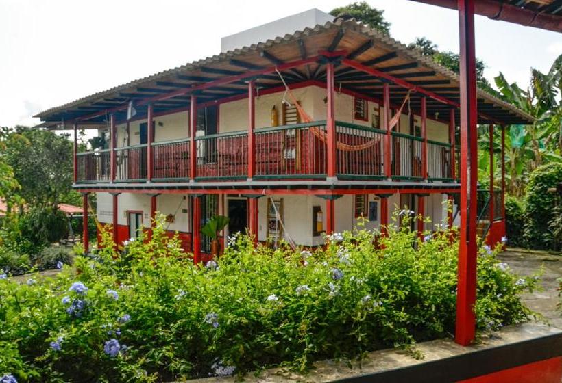 Hotel Hostal Portal Del Samán | Montenegro | Quindío | Colombia 10