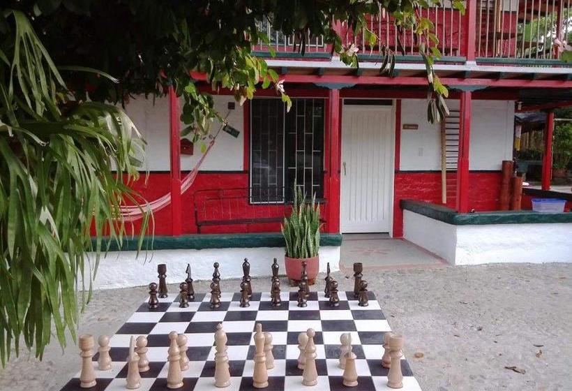 Hotel Hostal Portal Del Samán | Montenegro | Quindío | Colombia 3