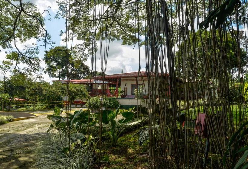 Hotel Hostal Portal Del Samán | Montenegro | Quindío | Colombia 6