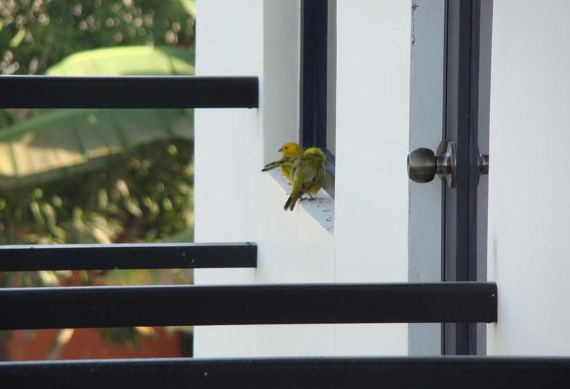 Hotel La Bocana | Tonsupa | Esmeraldas | Ecuador 6