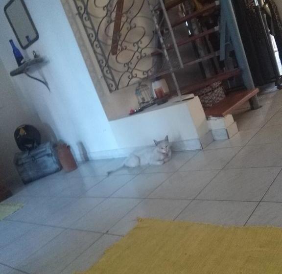 Alojamiento Tipo Hostel En Paysandu | Paisandú | Paysandú | Uruguay 2