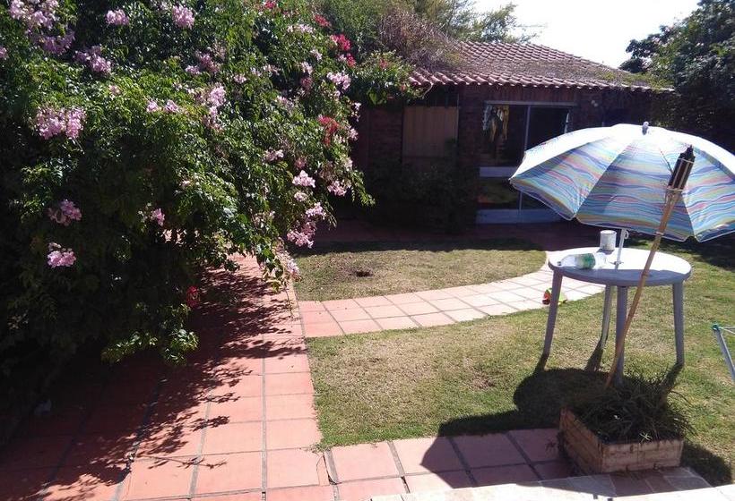 Alojamiento Tipo Hostel En Paysandu | Paisandú | Paysandú | Uruguay 7