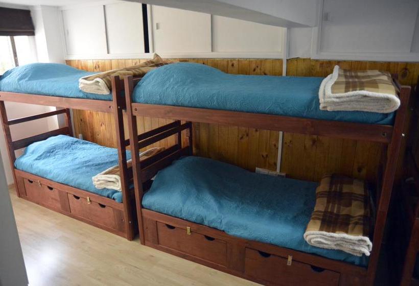 Bed and Breakfast Green Hostel | Valdivia | Los Lagos | Chile 12