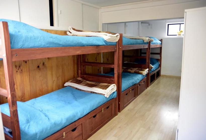 Bed and Breakfast Green Hostel | Valdivia | Los Lagos | Chile 13