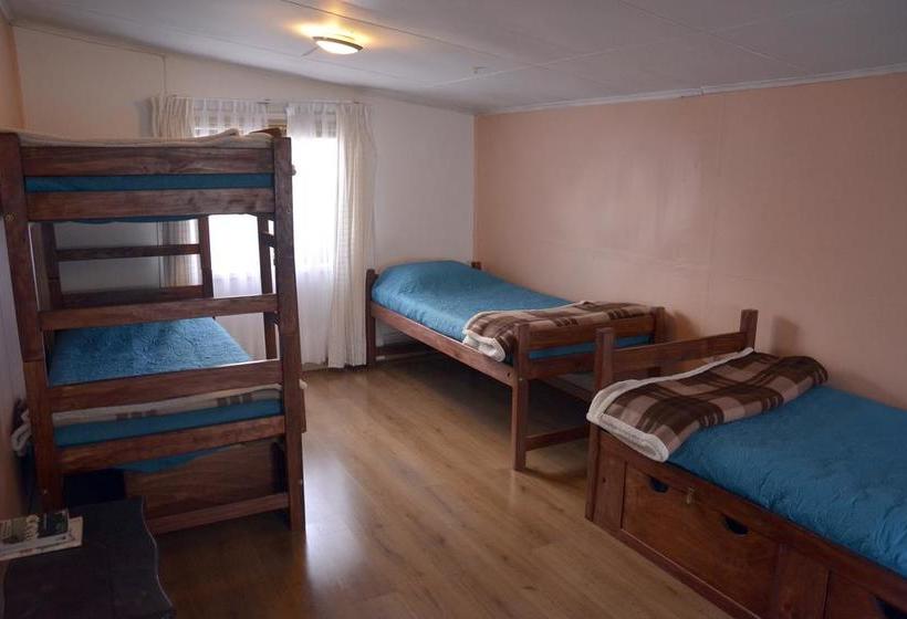Bed and Breakfast Green Hostel | Valdivia | Los Lagos | Chile 14