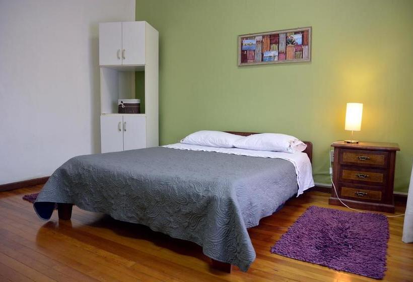 Bed and Breakfast Green Hostel | Valdivia | Los Lagos | Chile 19