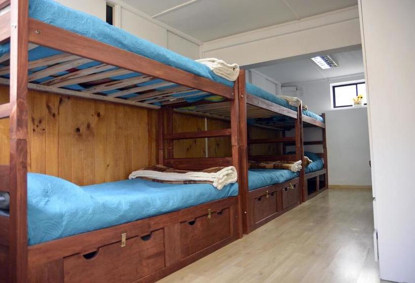 Bed and Breakfast Green Hostel | Valdivia | Los Lagos | Chile 2