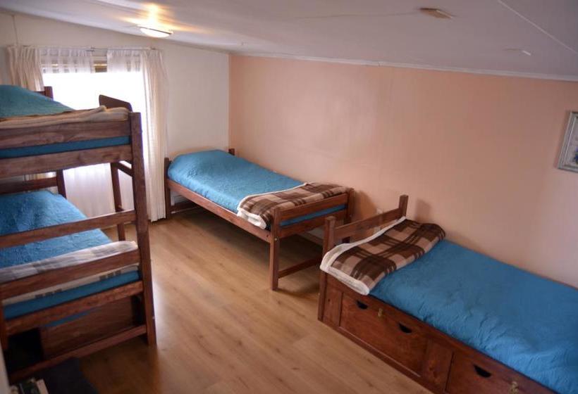 Bed and Breakfast Green Hostel | Valdivia | Los Lagos | Chile 6