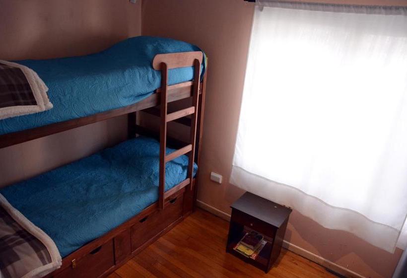 Bed and Breakfast Green Hostel | Valdivia | Los Lagos | Chile 9