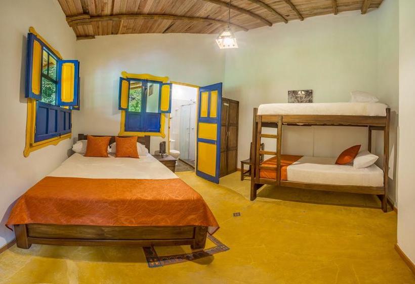 Ecohotel Piedemonte | Salento | Quindío | Colombia 11