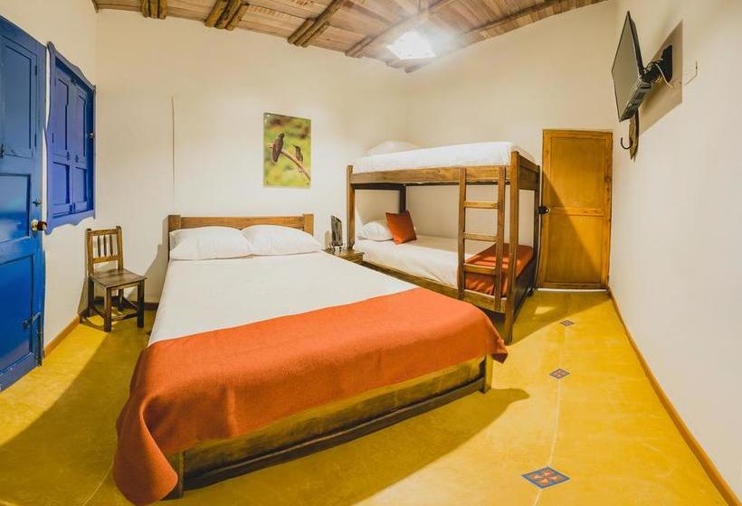 Ecohotel Piedemonte | Salento | Quindío | Colombia 15