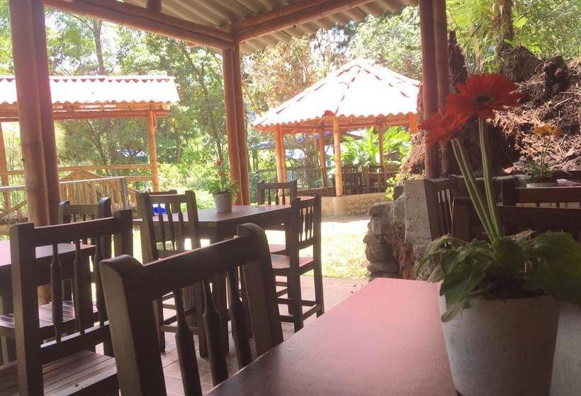 Ecohotel Piedemonte | Salento | Quindío | Colombia 18