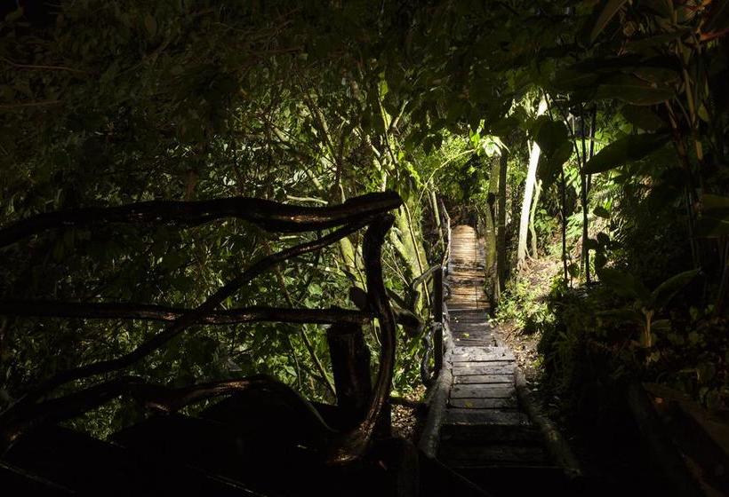 Ecohotel Piedemonte | Salento | Quindío | Colombia 2