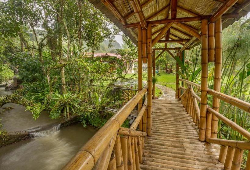 Ecohotel Piedemonte | Salento | Quindío | Colombia 5