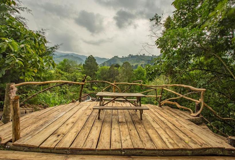 Ecohotel Piedemonte | Salento | Quindío | Colombia 6