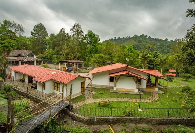 Ecohotel Piedemonte | Salento | Quindío | Colombia 7