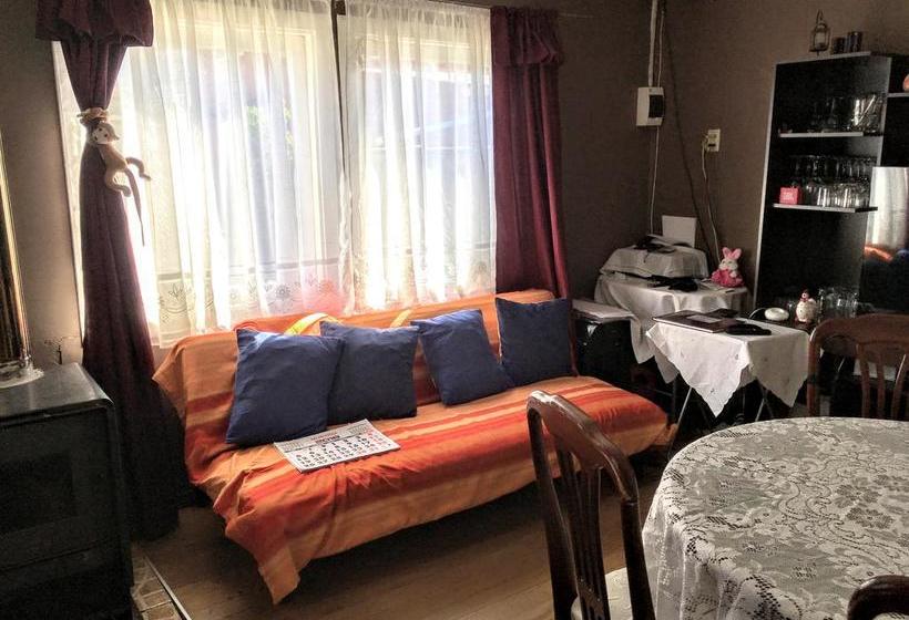 Albergue Hospedaje Lago Llanquihue | Llanquihue | Los Lagos | Chile 10