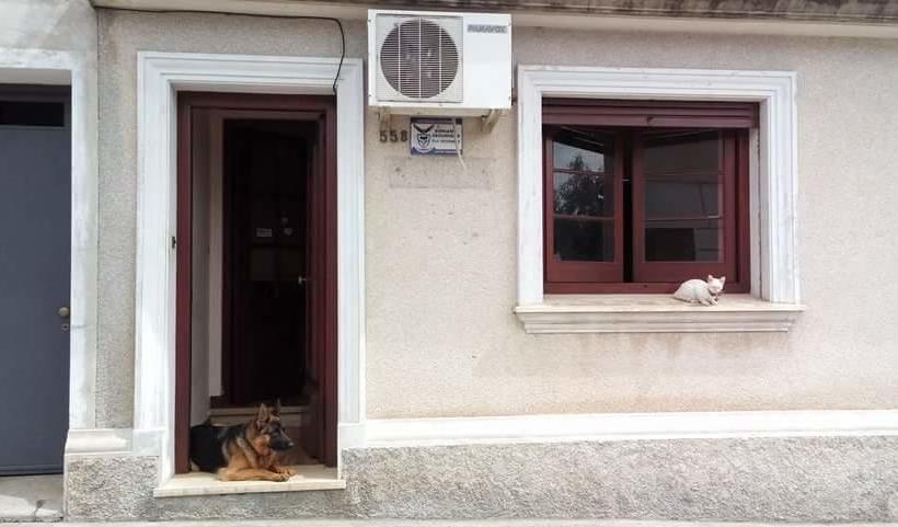 Albergue La Milagrosa Mercedes Soriano