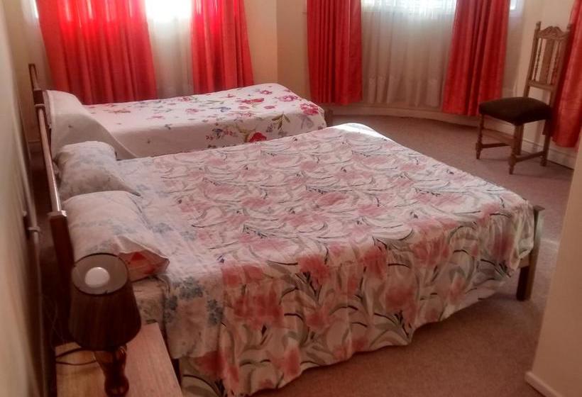 Hotel De France | Temuco | Araucanía | Chile 10