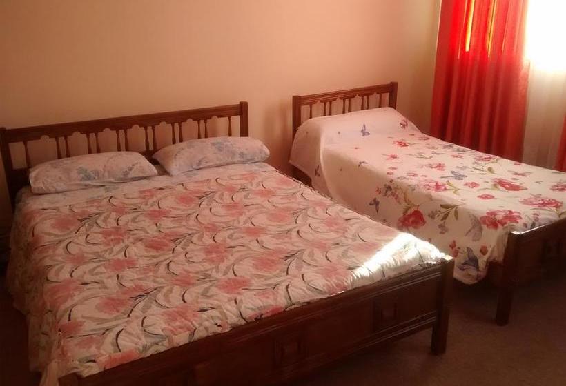 Hotel De France | Temuco | Araucanía | Chile 11