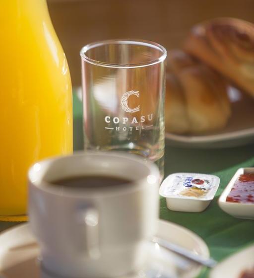 Hotel Copasu | Puerto Maldonado | Tambopata | Perú 1