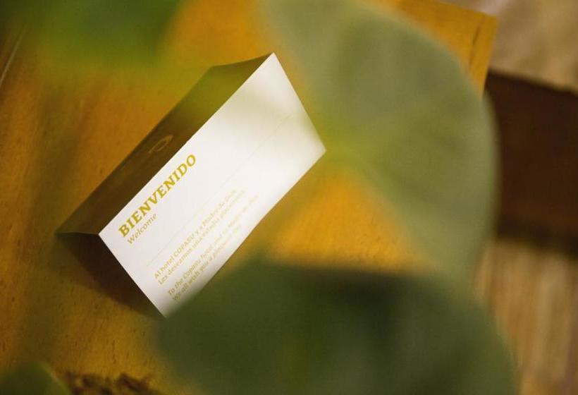 Hotel Copasu | Puerto Maldonado | Tambopata | Perú 2