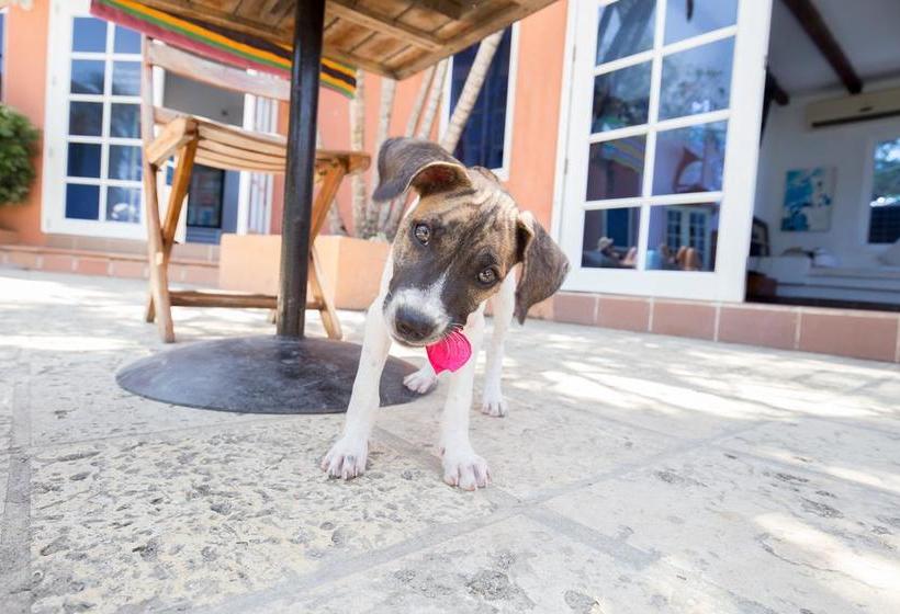 Urantia Hostel | Barú | Bolivar | Colombia 10