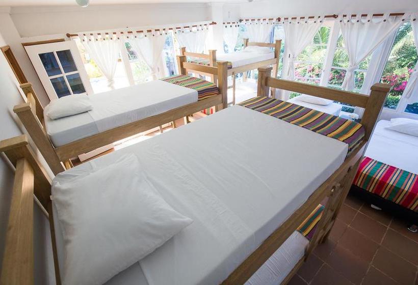 Urantia Hostel | Barú | Bolivar | Colombia 17