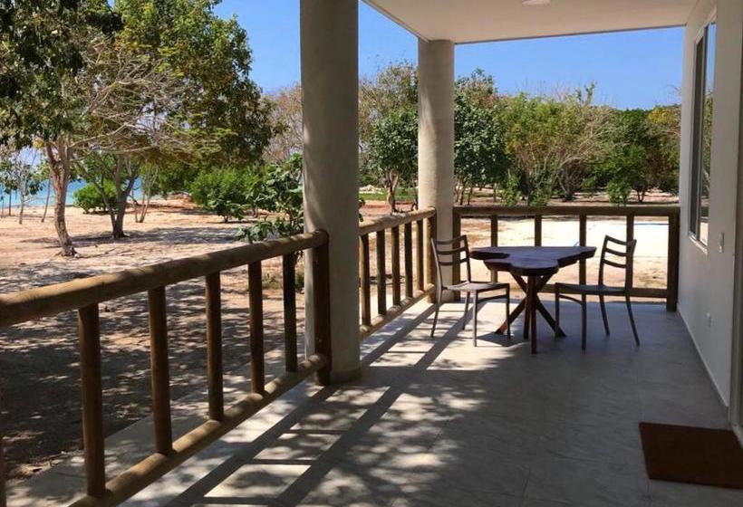 Hotel Baru Playa Eco Beach Resort | Barú | Bolivar | Colombia 14