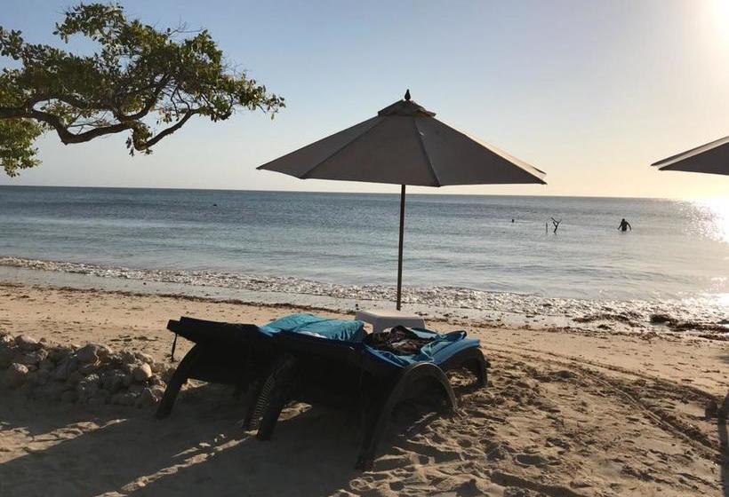 Hotel Baru Playa Eco Beach Resort | Barú | Bolivar | Colombia 15
