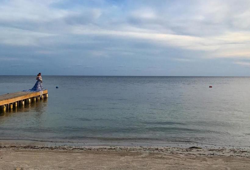 Hotel Baru Playa Eco Beach Resort | Barú | Bolivar | Colombia 16