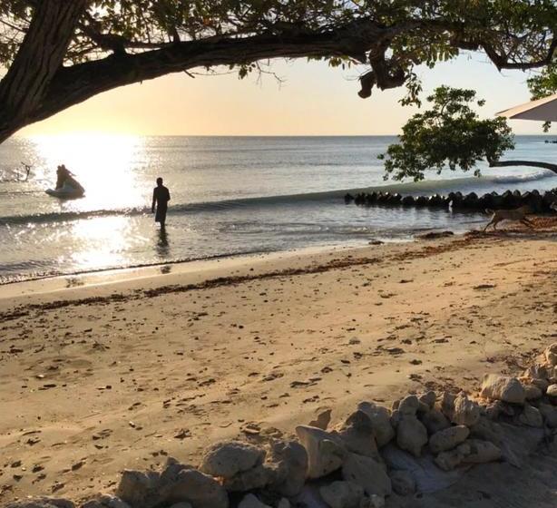 Hotel Baru Playa Eco Beach Resort | Barú | Bolivar | Colombia 19