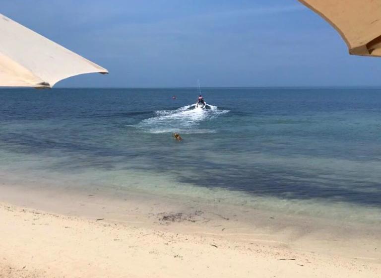 Hotel Baru Playa Eco Beach Resort | Barú | Bolivar | Colombia 2