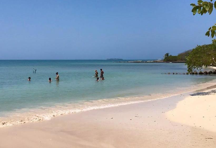 Hotel Baru Playa Eco Beach Resort | Barú | Bolivar | Colombia 4