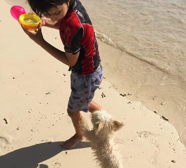 Hotel Baru Playa Eco Beach Resort | Barú | Bolivar | Colombia 8