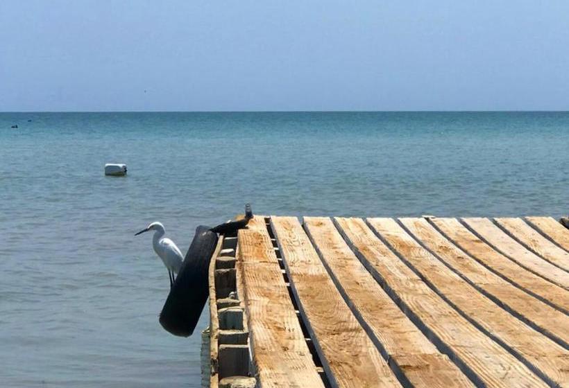 Hotel Baru Playa Eco Beach Resort | Barú | Bolivar | Colombia 9