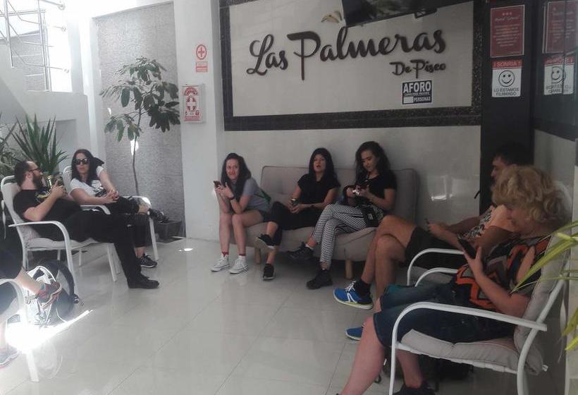 Hotel Las Palmeras De Pisco | Pisco | Pisco | Perú 13