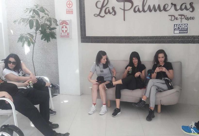 Hotel Las Palmeras De Pisco | Pisco | Pisco | Perú 16