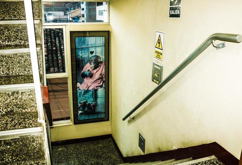 Hotel Tours | Huánuco | Huánuco | Perú 16