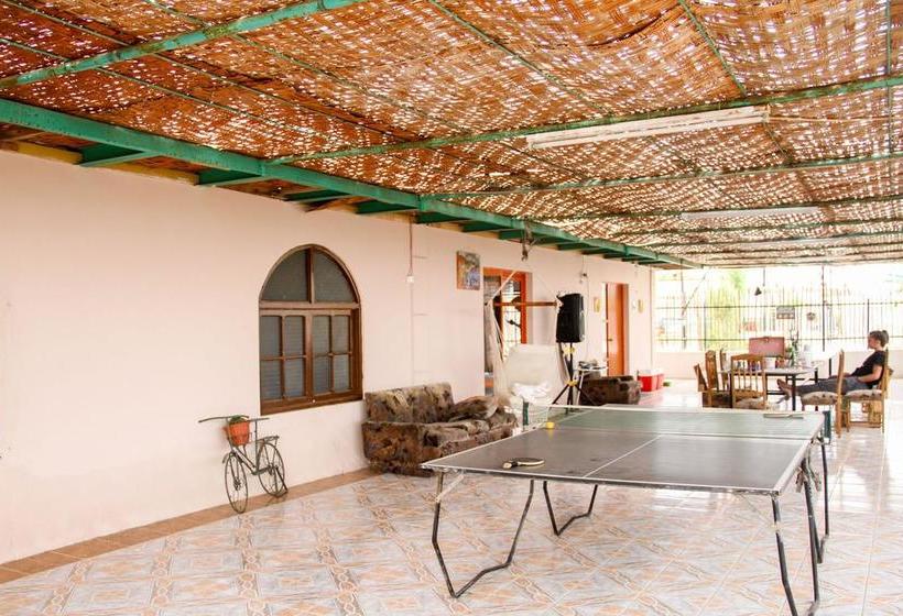 Bed and Breakfast Phuqata Surfcamp | Arica | Tarapaca | Chile 1