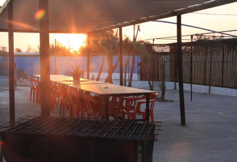 Bed and Breakfast Phuqata Surfcamp | Arica | Tarapaca | Chile 13