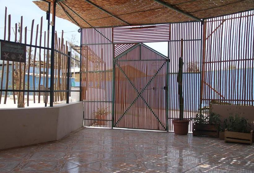 Bed and Breakfast Phuqata Surfcamp | Arica | Tarapaca | Chile 17