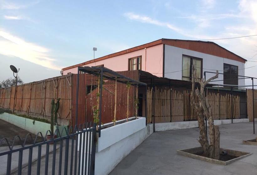 Bed and Breakfast Phuqata Surfcamp | Arica | Tarapaca | Chile 18