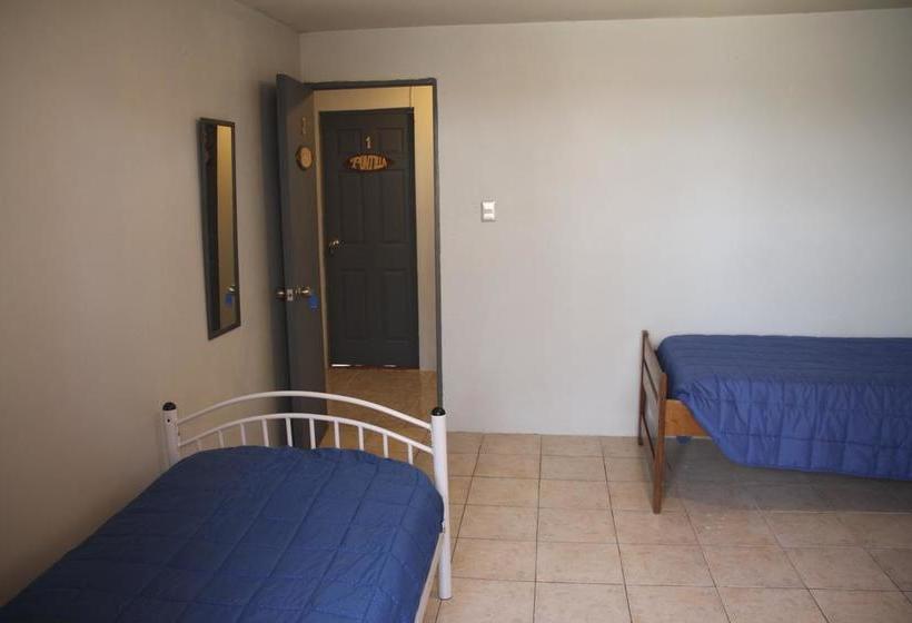 Bed and Breakfast Phuqata Surfcamp | Arica | Tarapaca | Chile 20